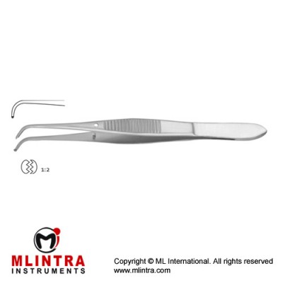 Graefe Dissecting Forcep 1 x 2 Teeth Stainless Steel, 9.5 cm - 3 3/4" Graefe Dissecting Forcep 1 x 2 Teeth Stainless Steel, 9.5 cm - 3 3/4"